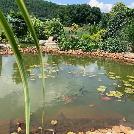 Siedlisko Przyjazne Progi