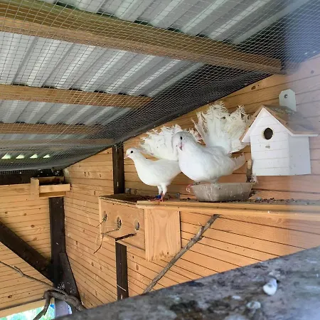 Siedlisko Przyjazne Progi Rusocice