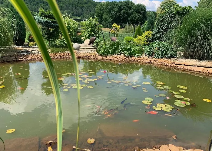 Siedlisko Przyjazne Progi