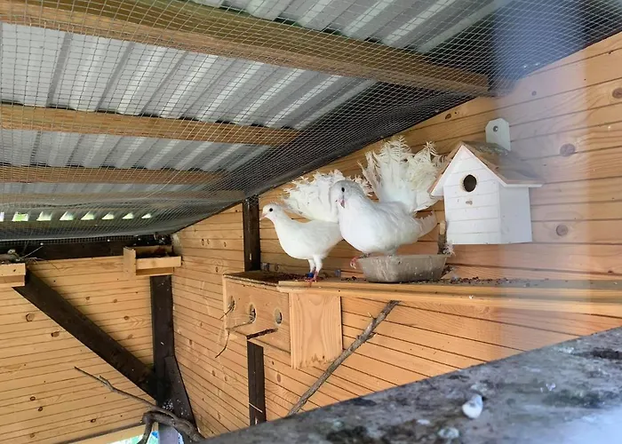 Siedlisko Przyjazne Progi Rusocice